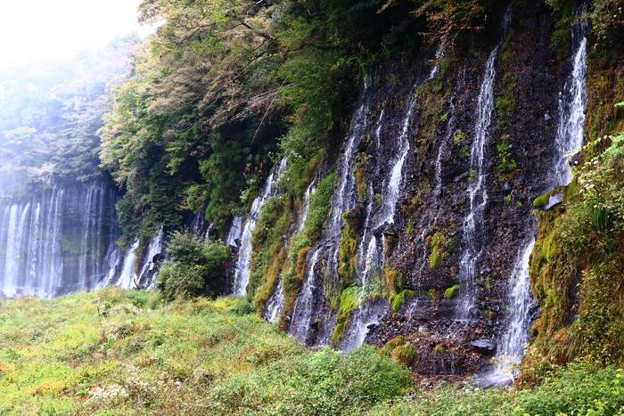 f0209122_19262298.jpg