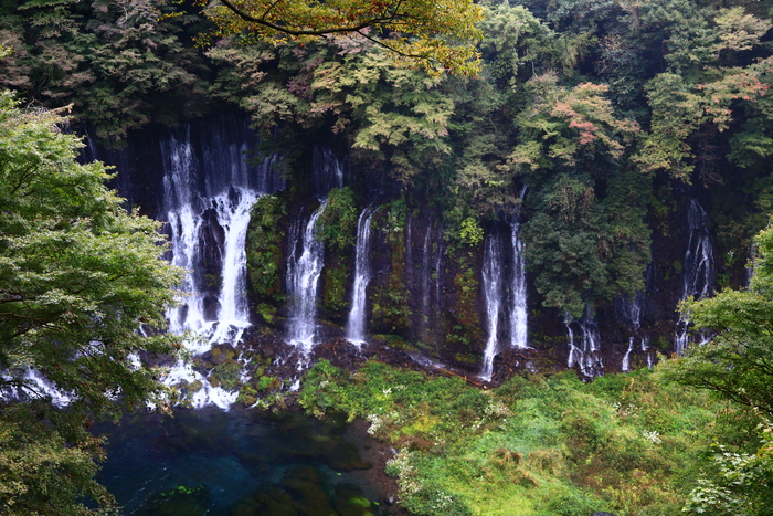 f0209122_1928339.jpg