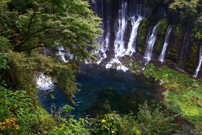 f0209122_1929285.jpg