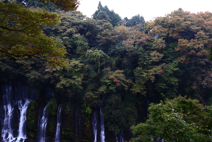 f0209122_19301584.jpg