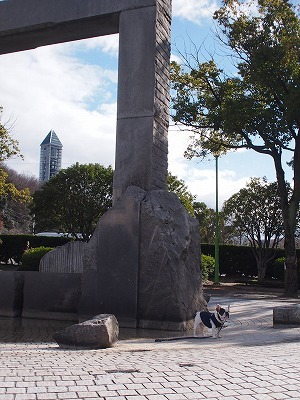 a0148431_14195333.jpg