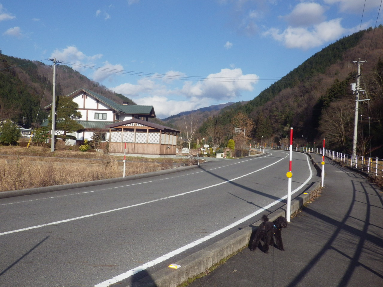 c0300035_953827.jpg