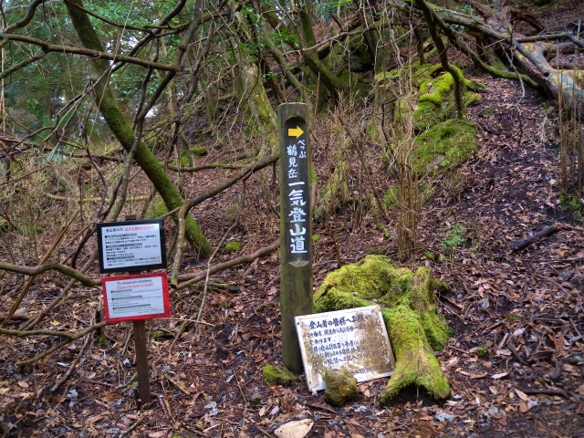 e0272335_1724789.jpg