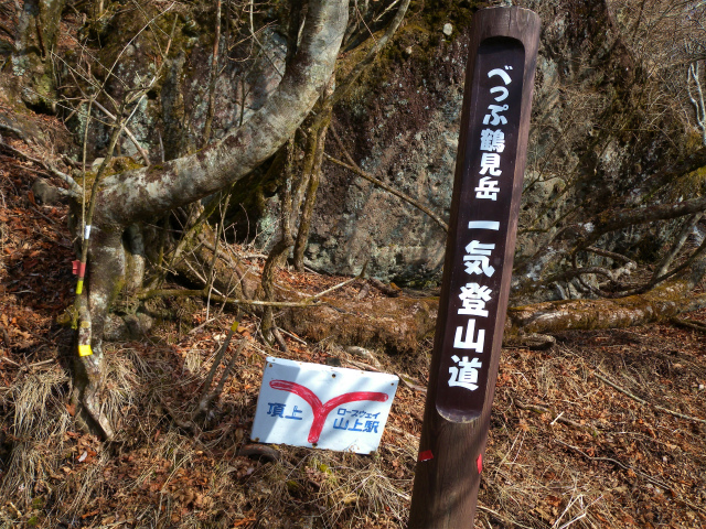e0272335_1740249.jpg