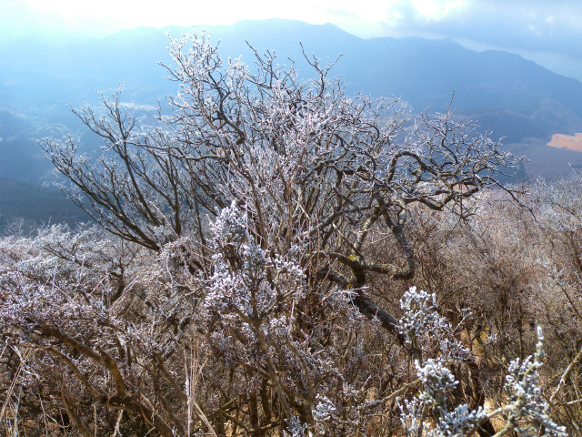 e0272335_17414450.jpg