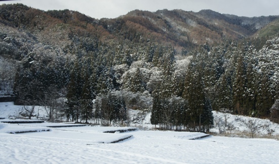 f0368538_12042386.jpg