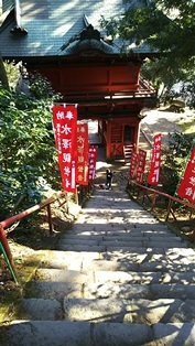 b0080342_09131554.jpg