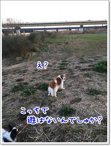 d0013149_00112314.jpeg