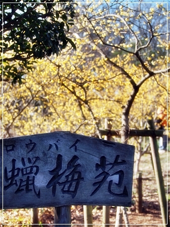 d0013149_23465404.jpg