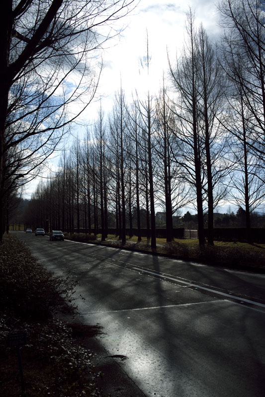 d0342652_15504473.jpg