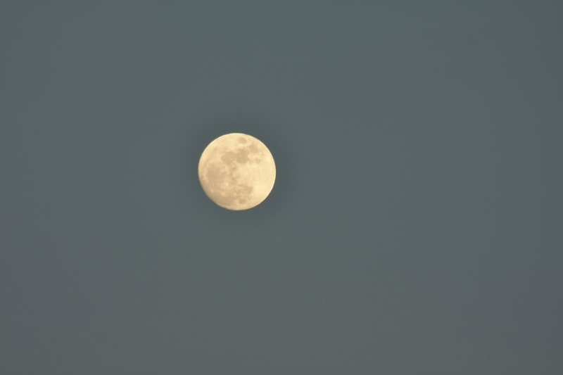 b0248954_19231430.jpg