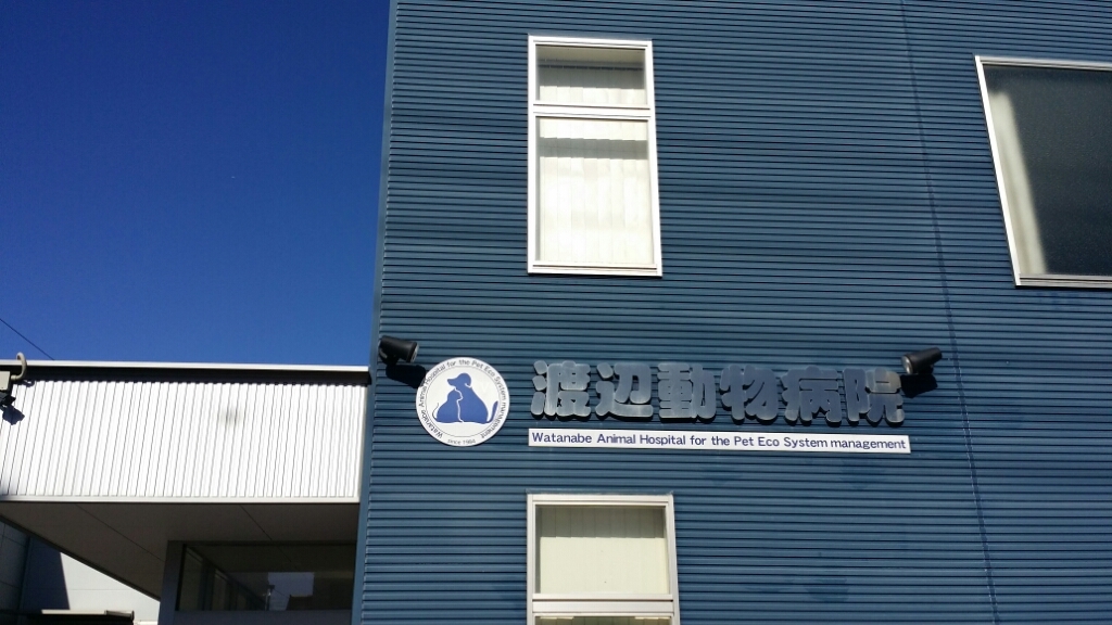 f0046854_22423600.jpg