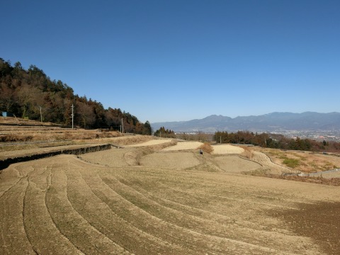 e0045768_21544858.jpg