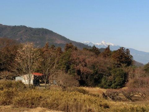 e0045768_21575520.jpg