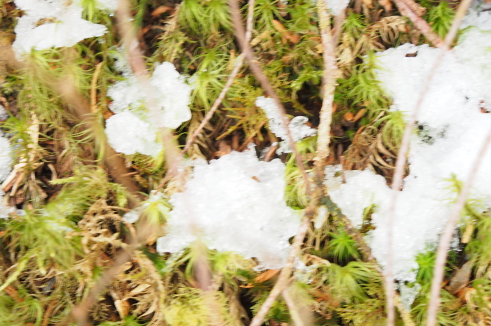 e0307372_23491480.jpg