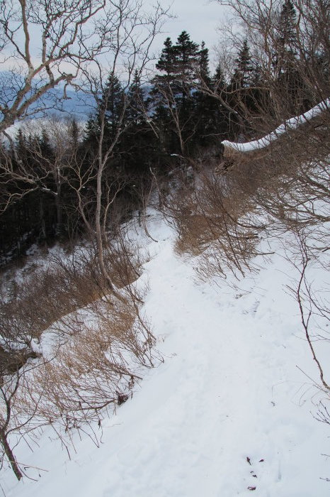 e0307372_23515348.jpg