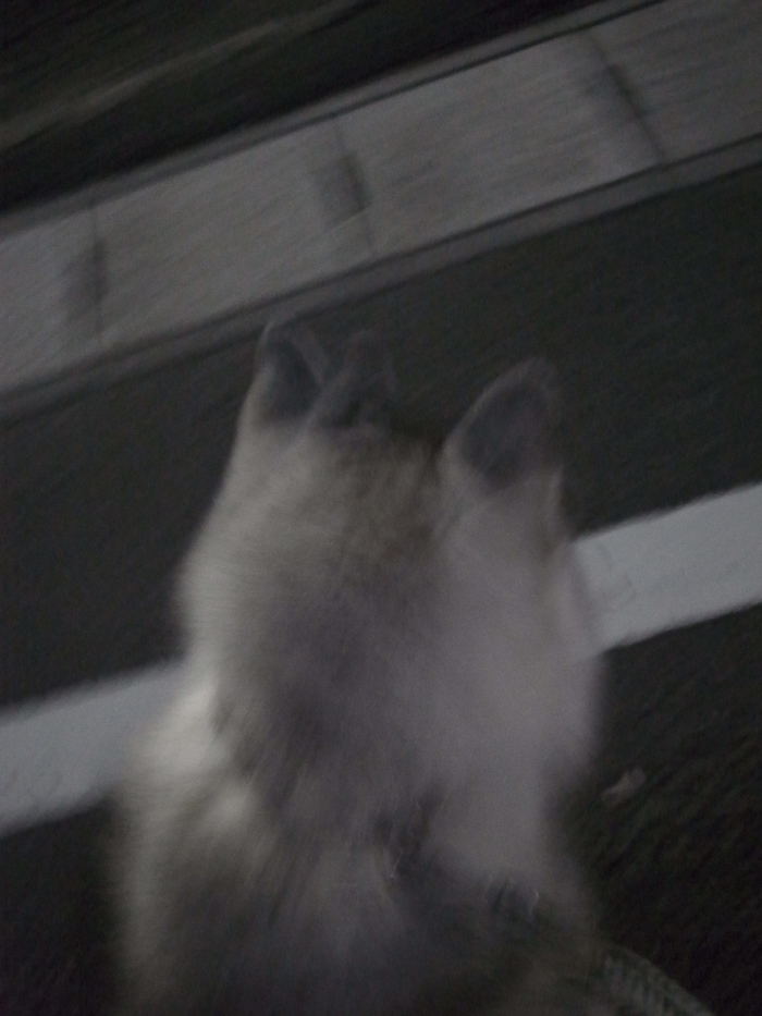 c0049299_22252396.jpg