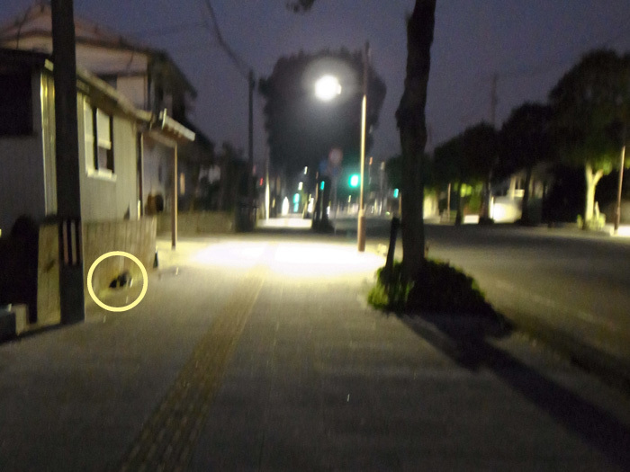 c0049299_22333314.jpg
