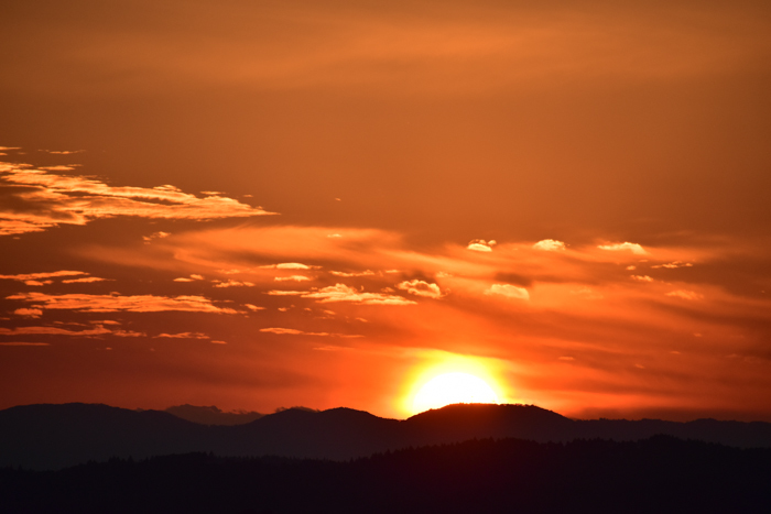 c0049299_22493170.jpg