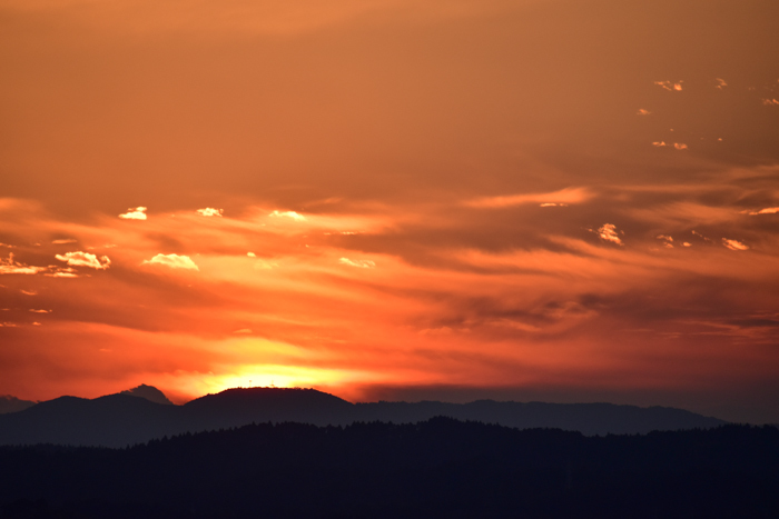 c0049299_22551971.jpg