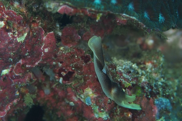 e0115199_19102185.jpg