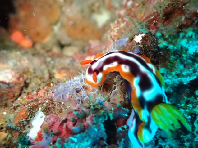 e0115199_19175340.jpg