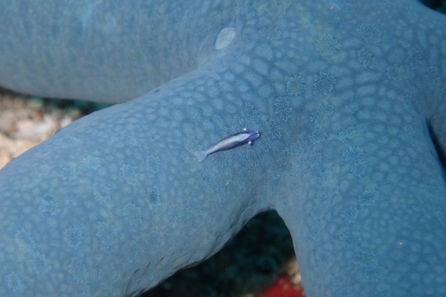 e0115199_20090954.jpg
