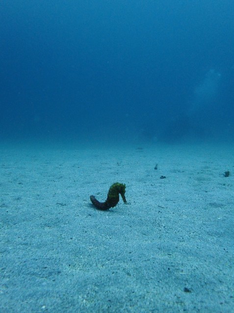 e0115199_20233828.jpg