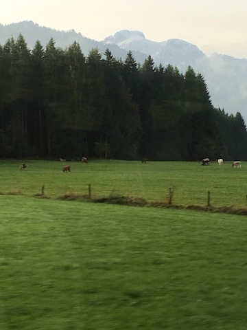 c0193304_10393300.jpg