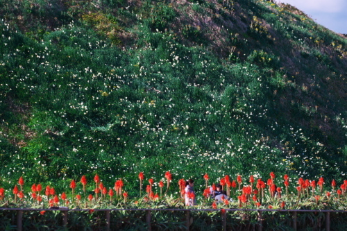 a0263109_14252199.jpg