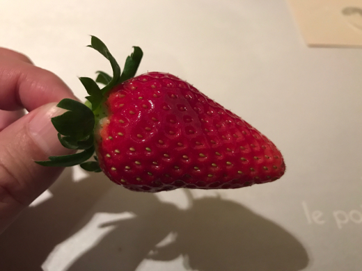 c0128818_12365521.jpg