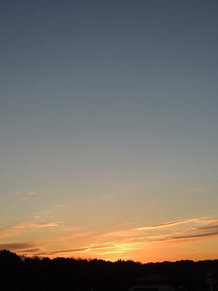 f0150620_750755.jpg