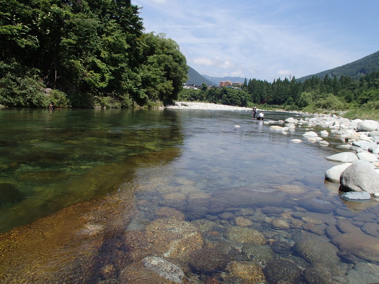 d0172227_21454740.jpg