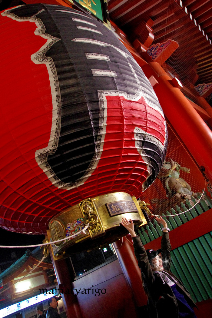 e0303927_5292859.jpg