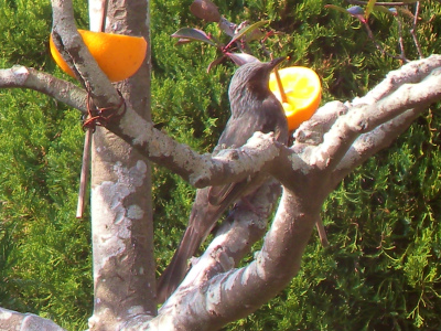 e0272335_17293696.jpg