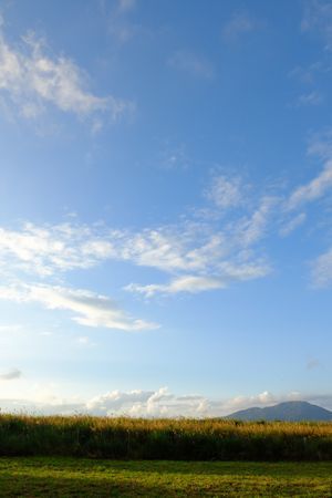 c0148238_13385675.jpg