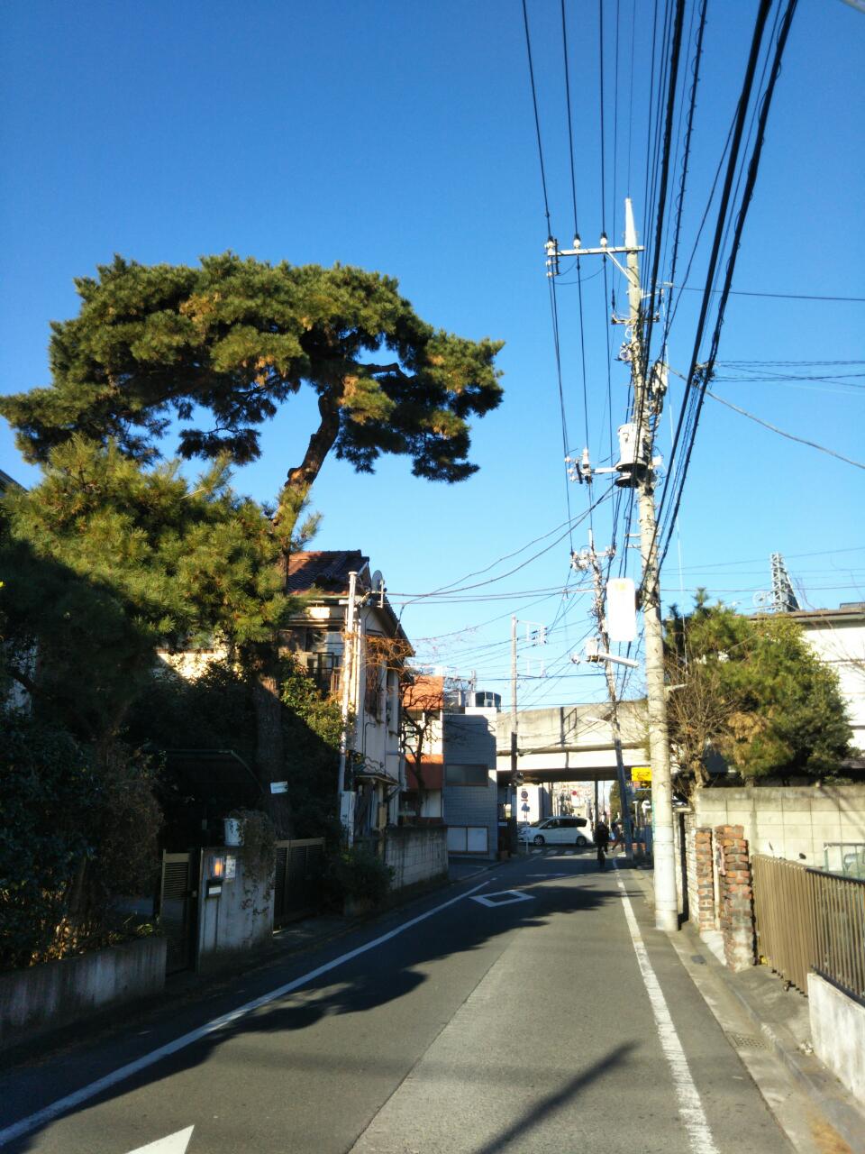 b0031140_13163340.jpg