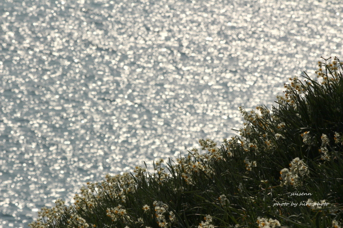 b0328557_16120944.jpg