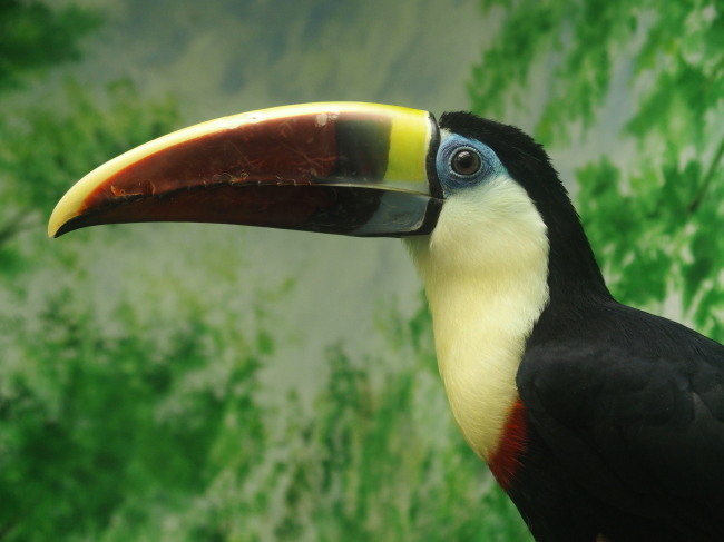 c0122670_00463717.jpg
