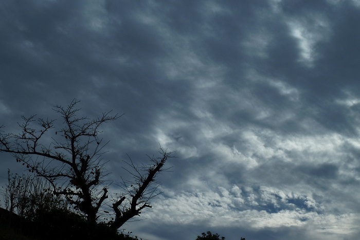 b0326576_22485759.jpg