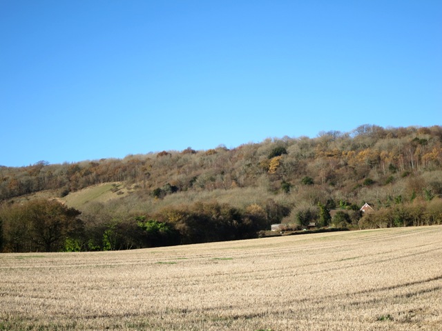 a0208783_247183.jpg