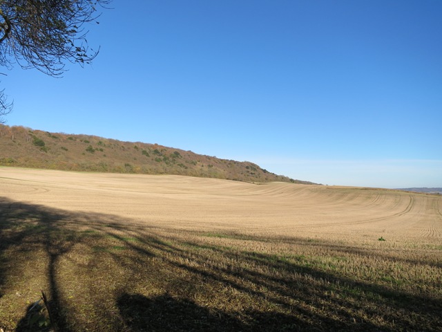 a0208783_24926.jpg