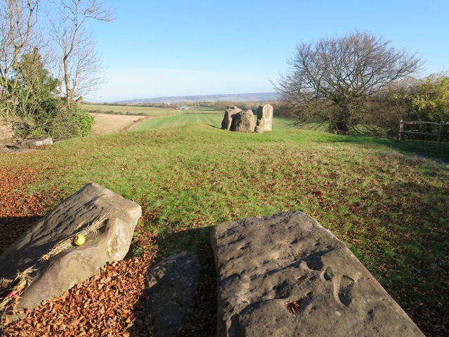 a0208783_251371.jpg