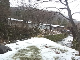 e0155085_2002760.jpg