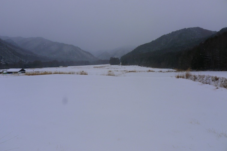 a0130586_18125930.jpg