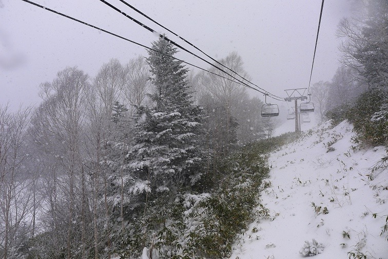 a0130586_1853414.jpg