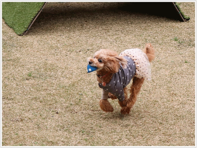 b0175688_00163093.gif