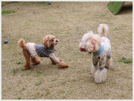 b0175688_00200127.gif