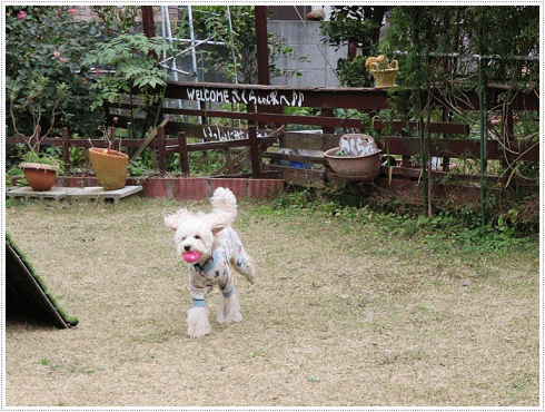 b0175688_00201828.gif