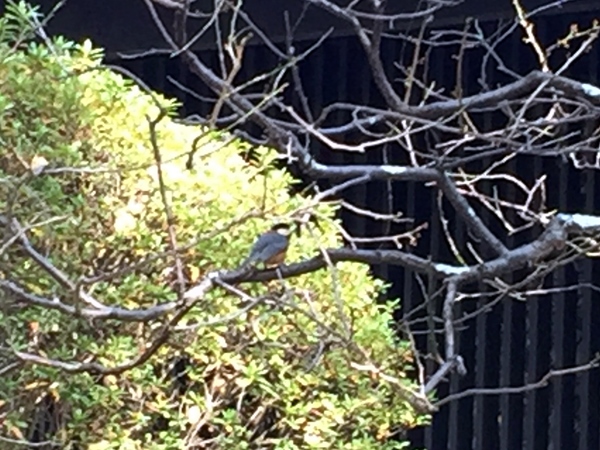 c0155198_1438341.jpg